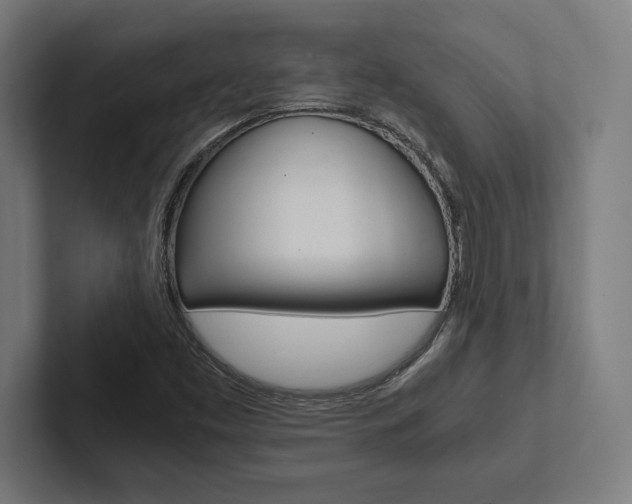 X0000102861453200808181015