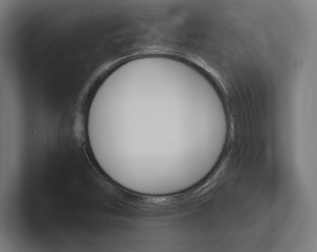 X0000102861454200808181015