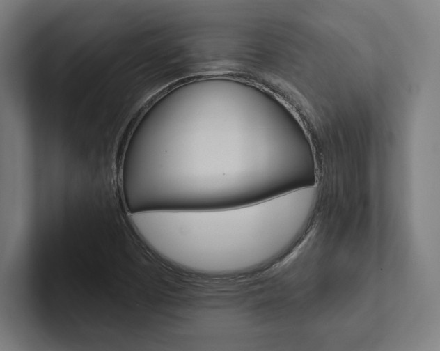 X0000102861457200808181015