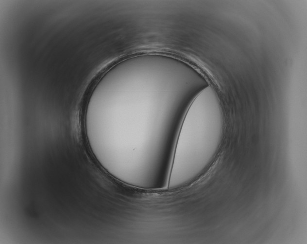 X0000102861458200808181015