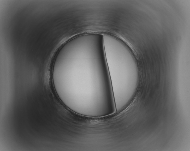 X0000102861459200808181015