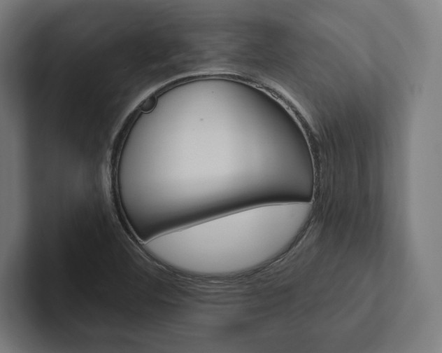 X0000102861460200808181015