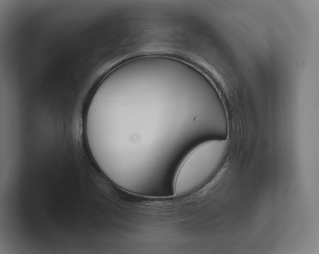 X0000102861461200808181015