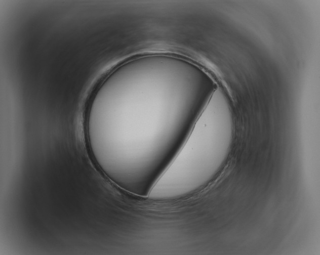 X0000102861464200808181015
