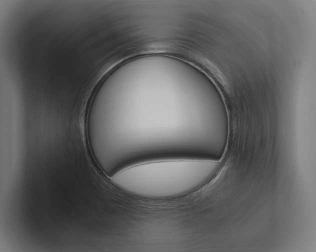 X0000102861465200808181015