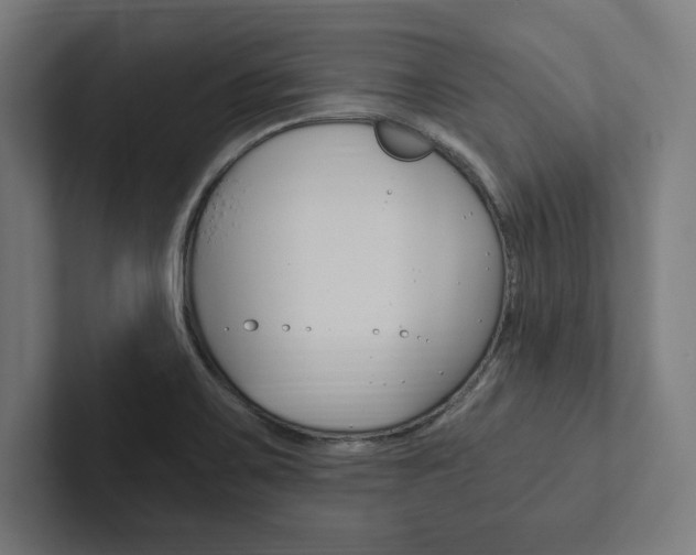 X0000102861467200808181015