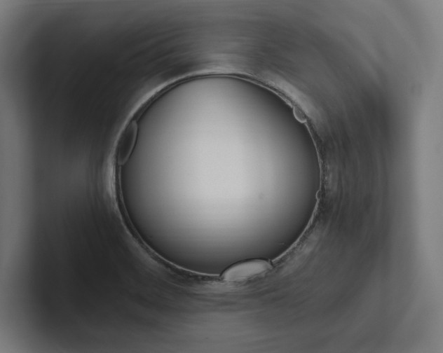 X0000102861468200808181015