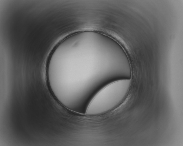 X0000102861469200808181015