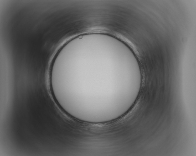 X0000102861470200808181015