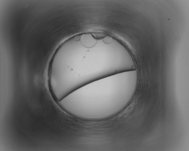 X0000102861471200808181015