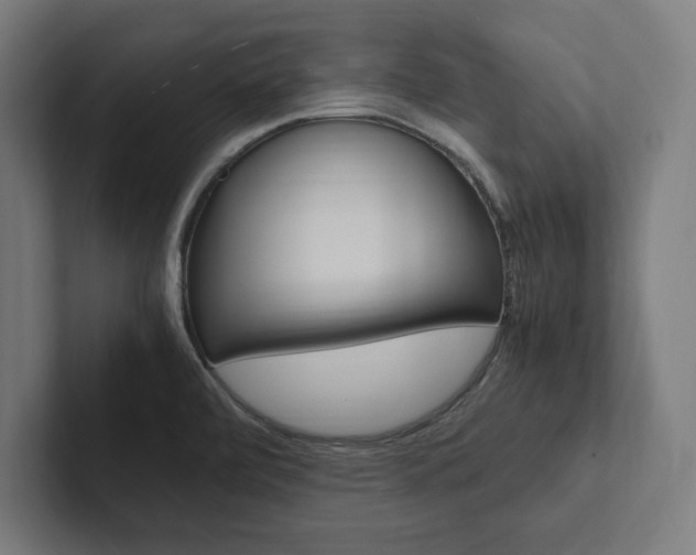 X0000102861472200808181015