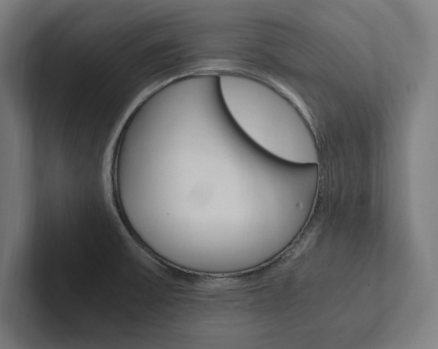 X0000102861475200808181015