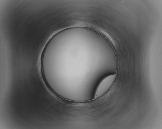 X0000102861479200808181015