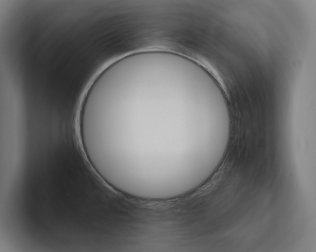 X0000102861480200808181015