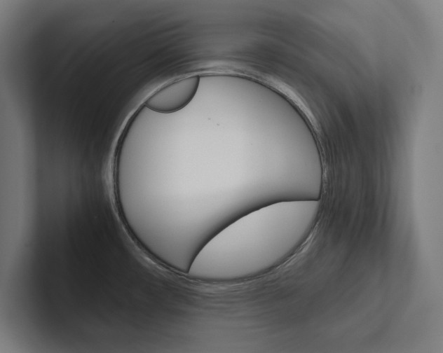 X0000102861482200808181015