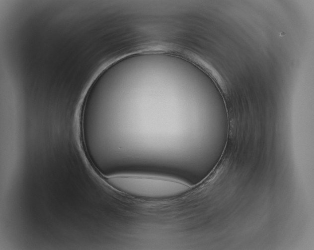 X0000102861483200808181015