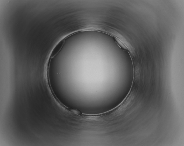 X0000102861484200808181015