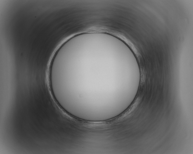 X0000102861486200808181015