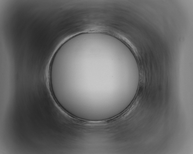 X0000102861487200808181015
