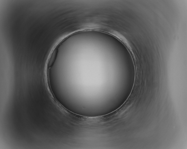 X0000102861488200808181015