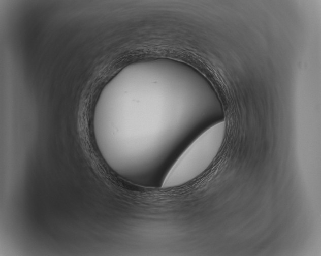 X0000102861489200808181014
