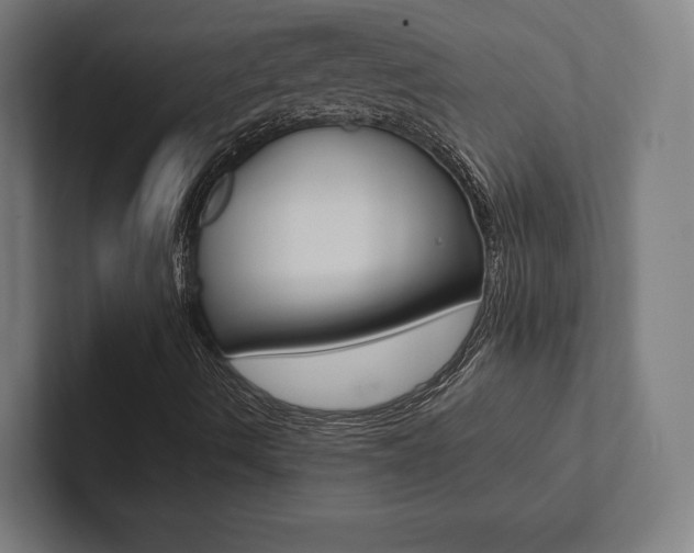 X0000102861490200808181014