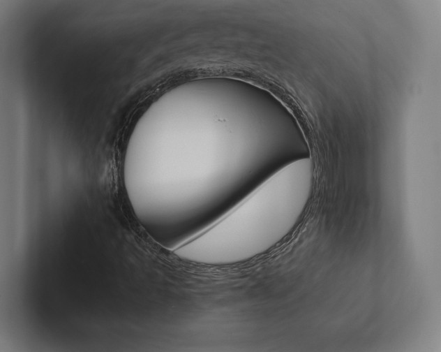 X0000102861493200808181014