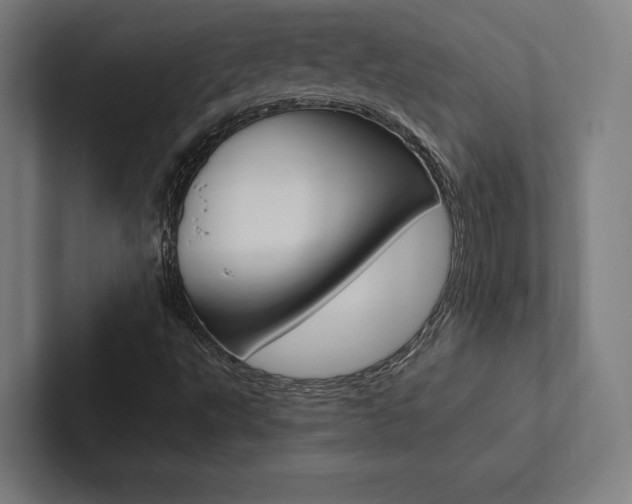 X0000102861495200808181014