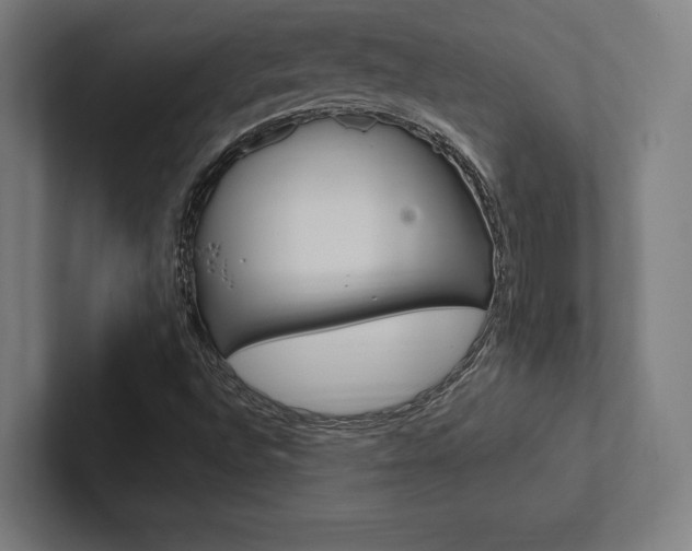 X0000102861496200808181014
