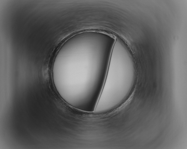 X0000102861497200808181014