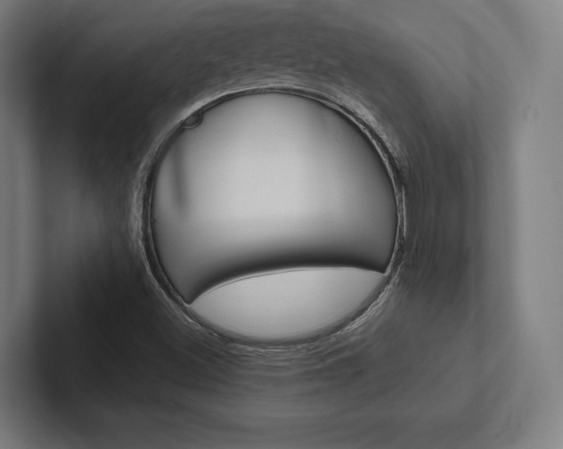 X0000102861500200808181014