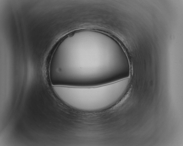X0000102861501200808181014