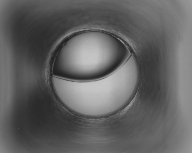 X0000102861502200808181014