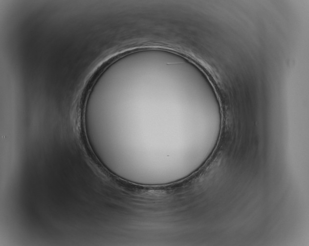 X0000102861503200808181015