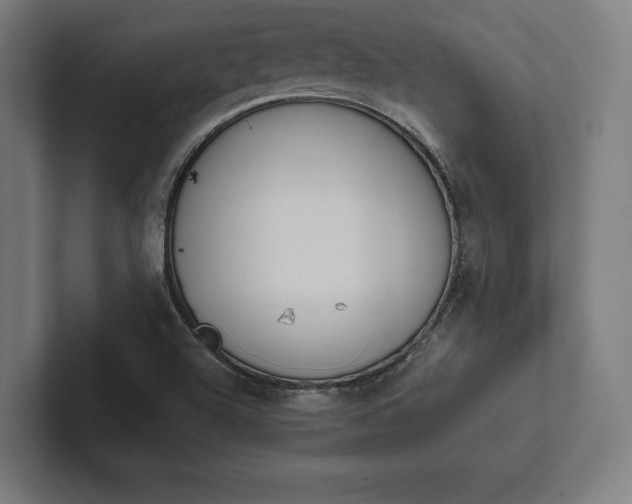 X0000102861504200808181015