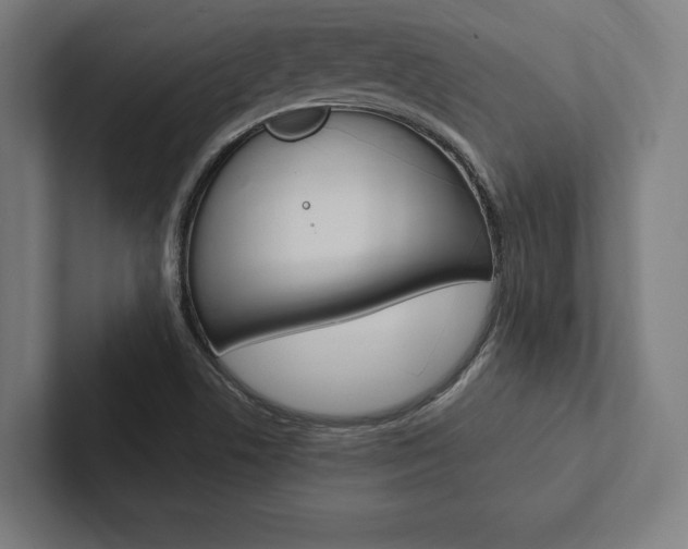 X0000102861506200808181015