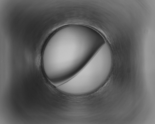 X0000102861507200808181015