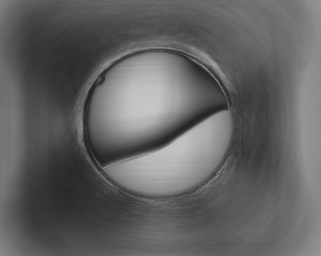 X0000102861512200808181015