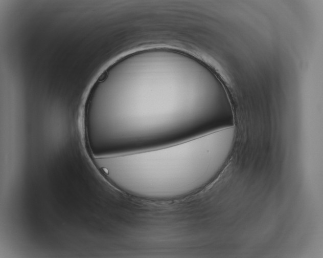 X0000102861516200808181015