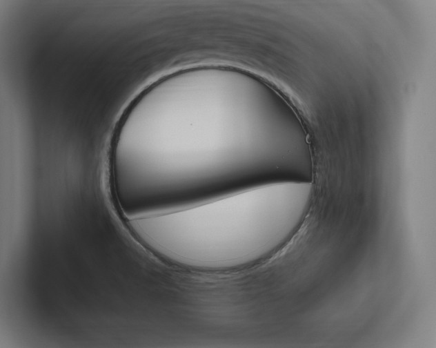 X0000102861518200808181015