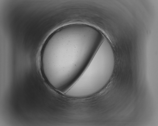 X0000102861519200808181015