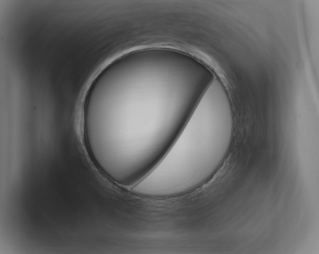 X0000102861520200808181015