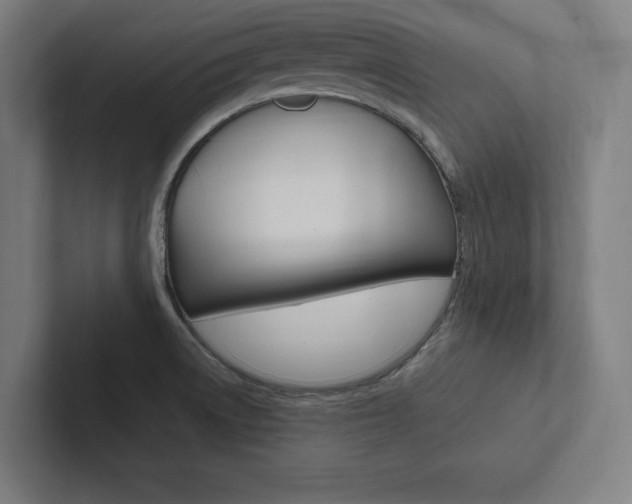 X0000102861522200808181015