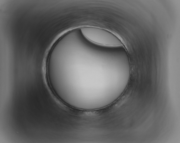 X0000102861523200808181015