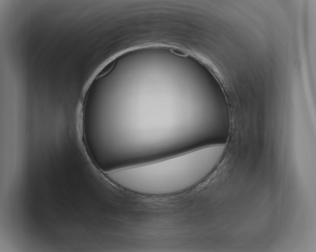 X0000102861524200808181015