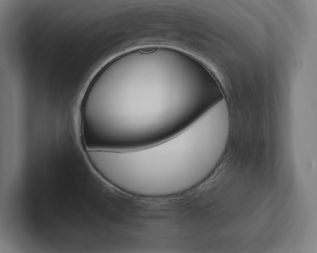 X0000102861527200808181015