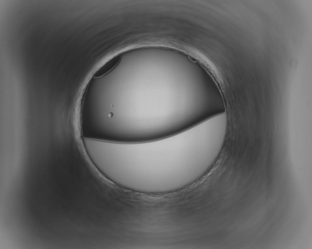 X0000102861528200808181015
