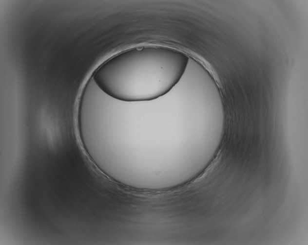 X0000102861530200808181015