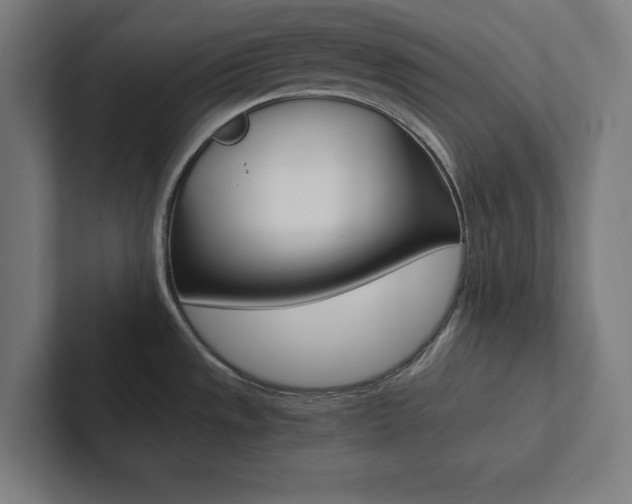 X0000102861533200808181015