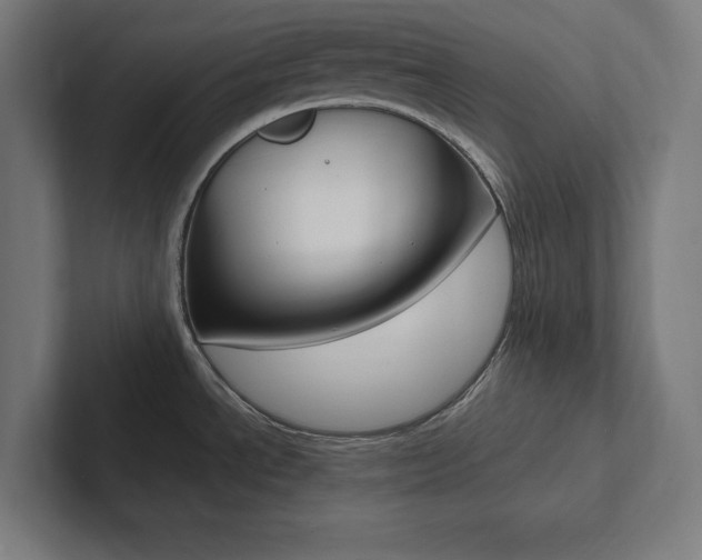 X0000102861534200808181015